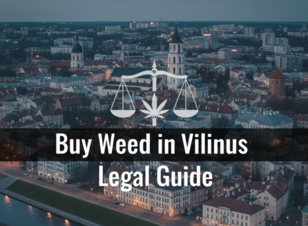 Buy Weed in Vilnius