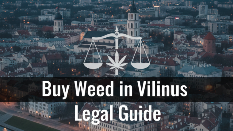 Buy Weed in Vilnius