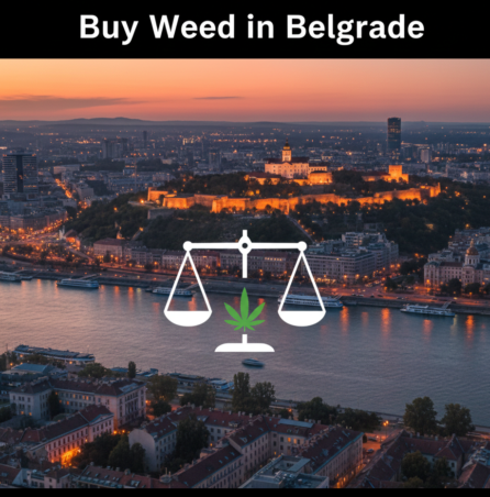 Buy Weed in Belgrade