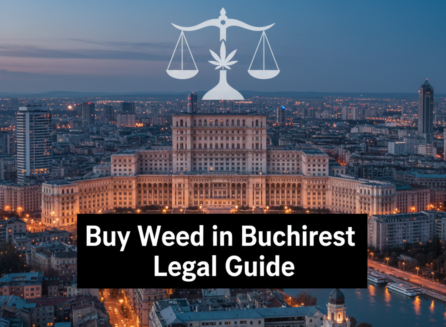 Buy Weed in Bucharest