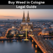 Buy Weed in Cologne: Tourist Guide to Cannabis Laws in Germany (2026)