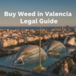 Buy Weed in Valencia: What Visitors Should Know Before Traveling (2026)