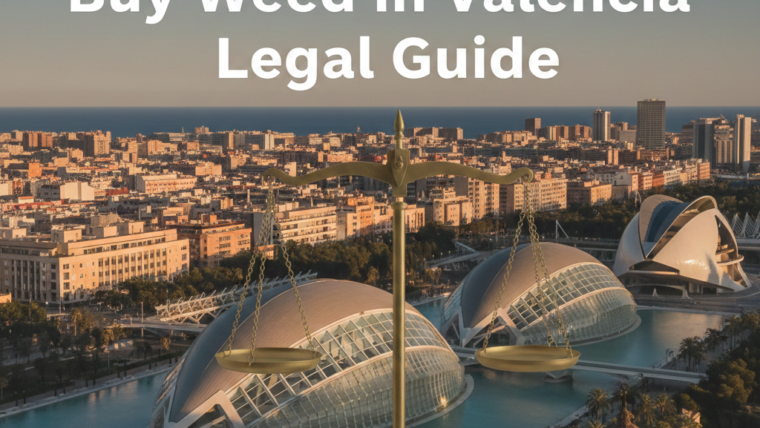 Buy Weed in Valencia